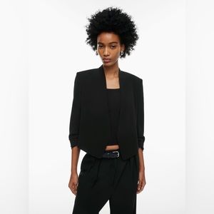 Aritzia Babaton Power Waist Blazer
